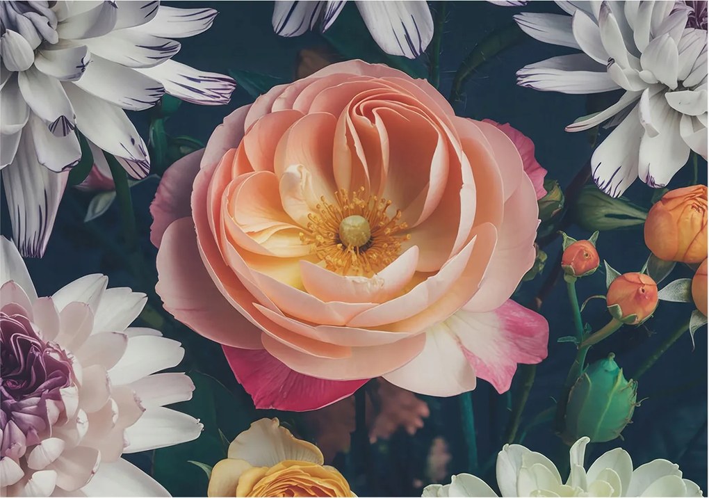 Fotótapéta Flizelin Fali Ragasztó Szett Virágos harmónia 312x219 Ragasztó