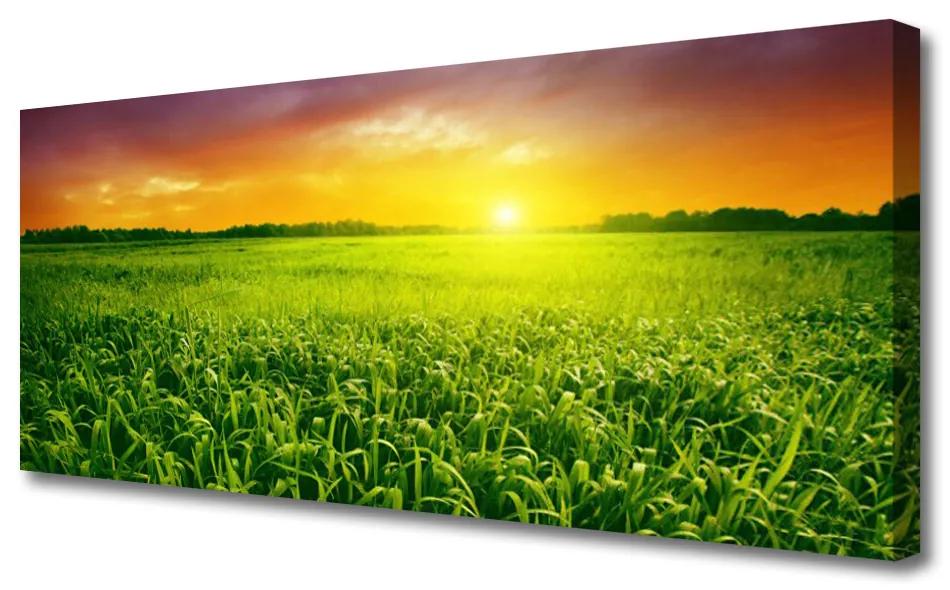 Vászonkép falra Wheat Field Sunrise 100x50 cm