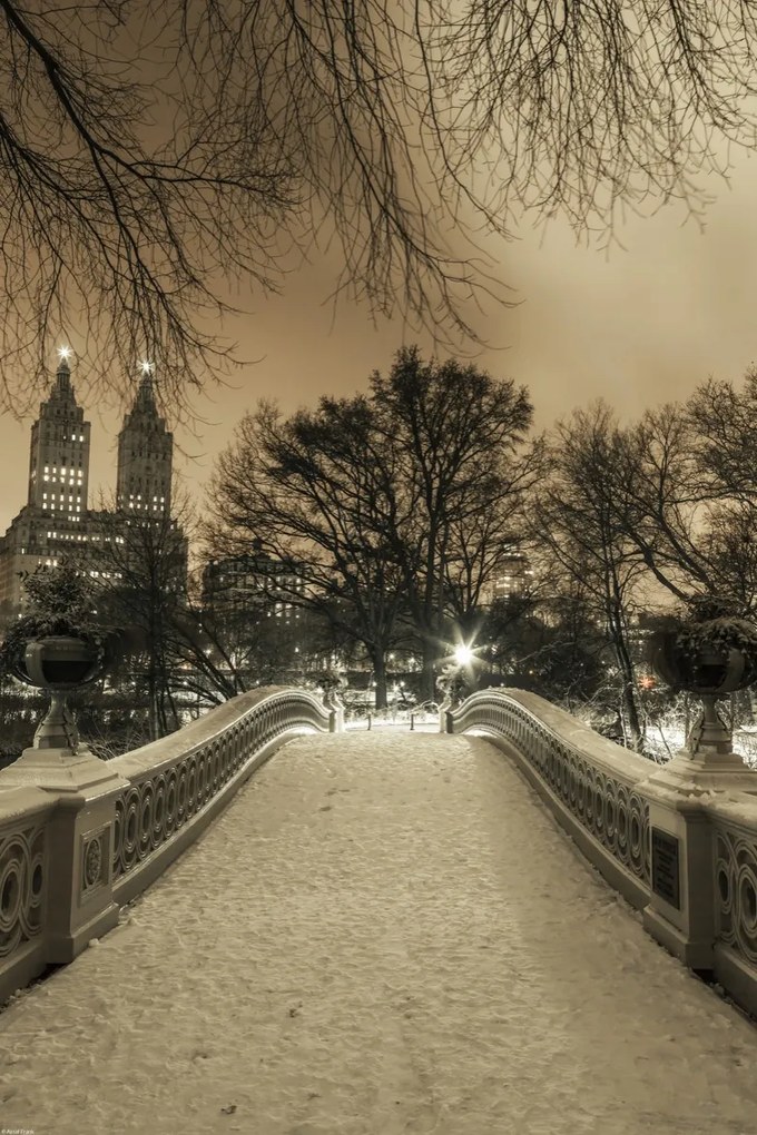 Poszter 40x60cm Central Park Bow Bridge Manhattan panorámával, Assaf Frank