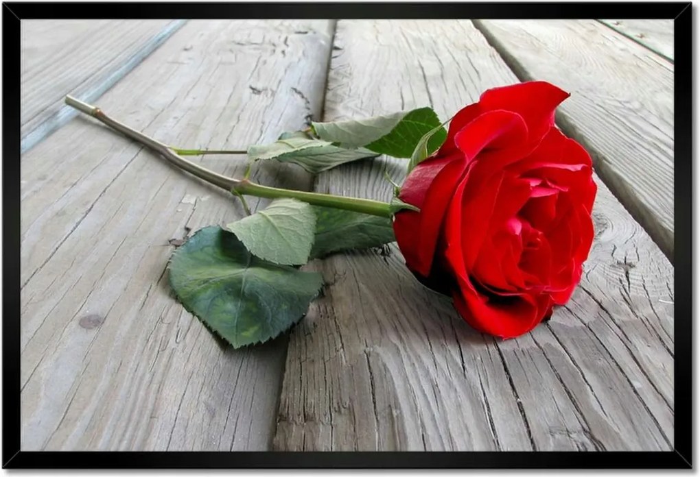 Poszterek keretben 60x40 Rózsa a deszkákon