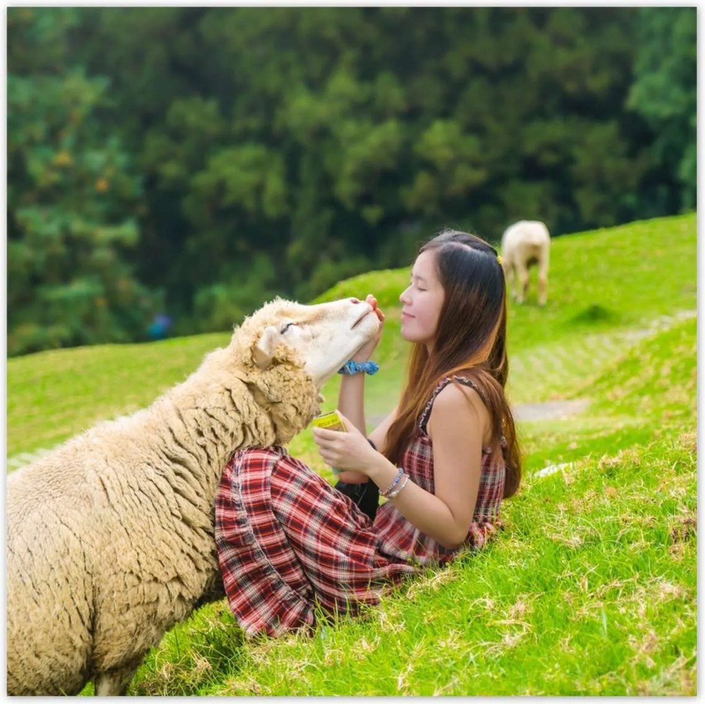 Poszterek 140x140 Az én bárányom Hegyek csarnoka