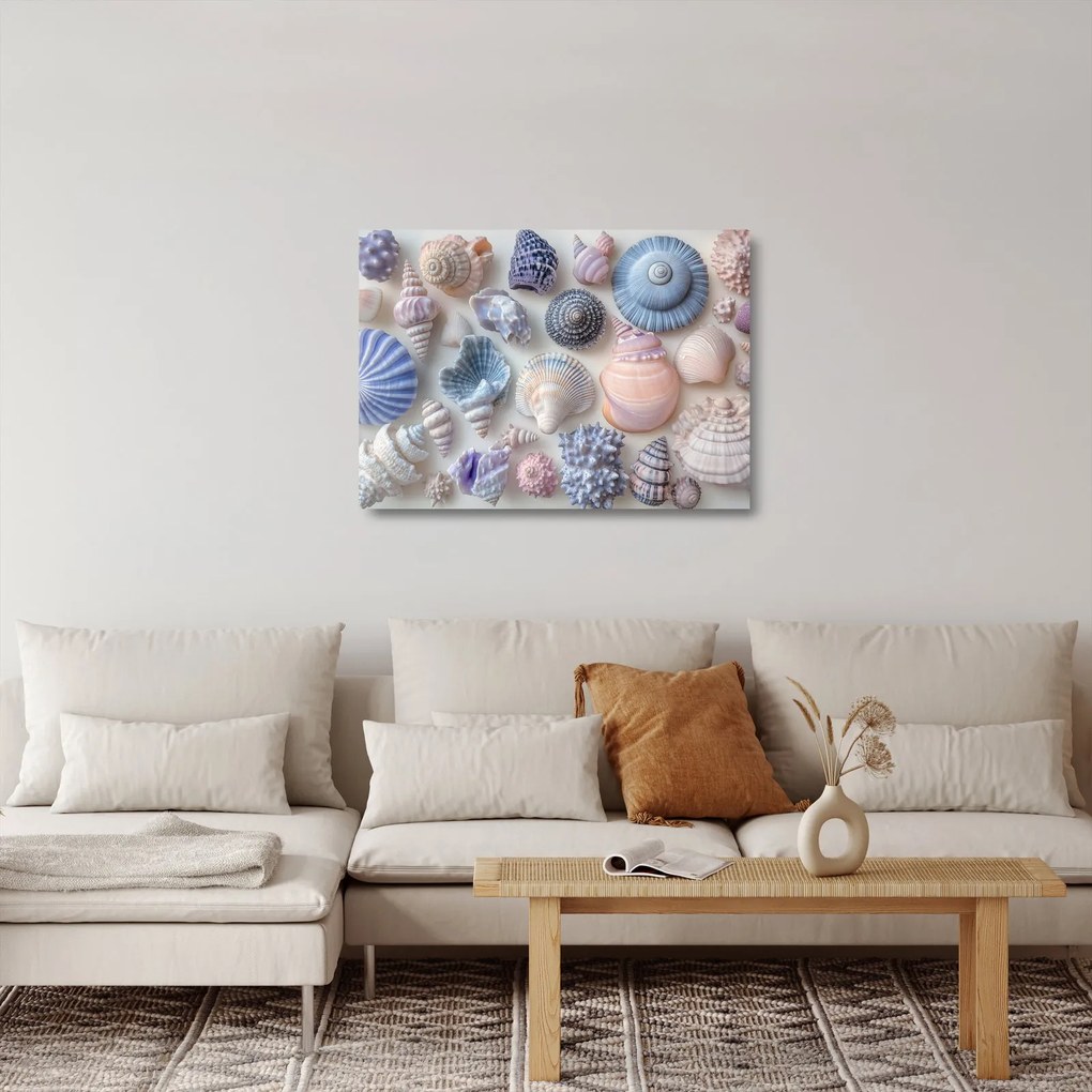 Üveg kép - Kagylógyűjtemény (70x50 cm)