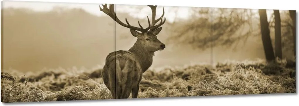 Vászonkép 120x40 Szarvas erdő naplemente