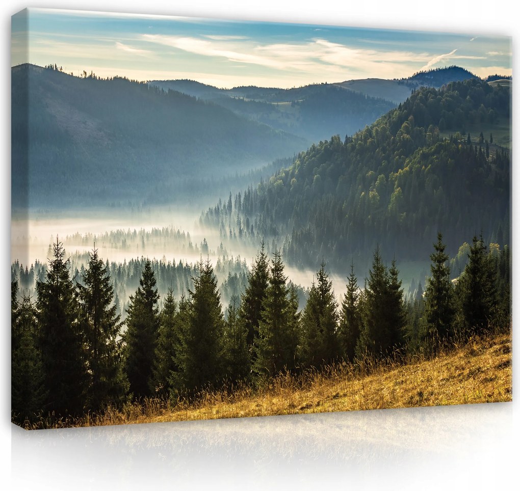 Vászonkép Hegyek Tájkép Természet Erdő 60x40