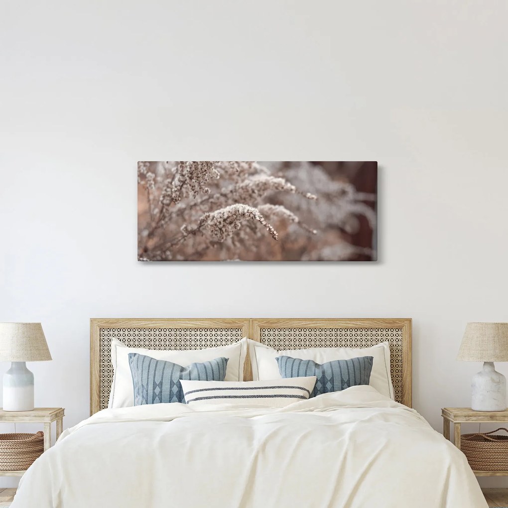 A növények képe (120x50 cm)