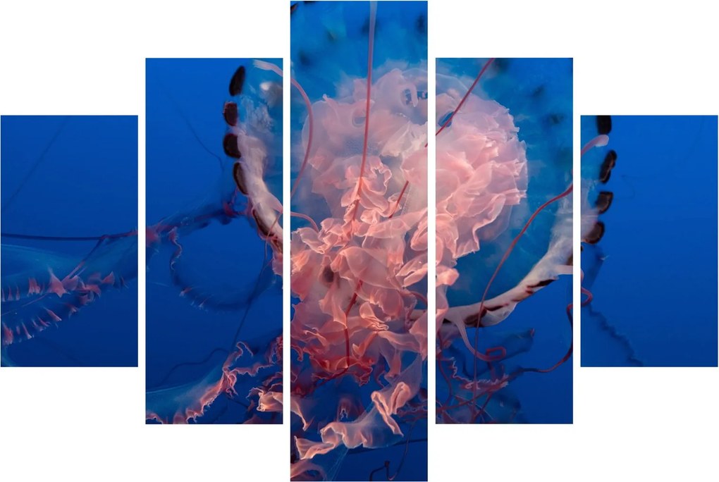 Medúza képe (150x105 cm)