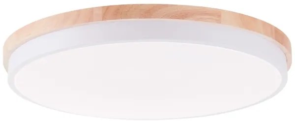 Brilliant - LED Dimmelhető mennyezeti lámpa BAARLO LED/36W/230V átm. 50 cm fehér + távirányító