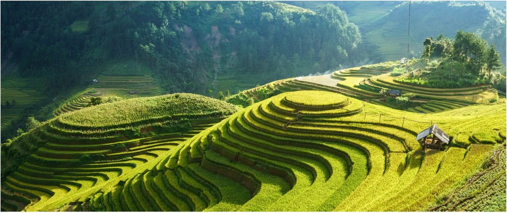 Kép - Rice Terraces koncert (120x50 cm)