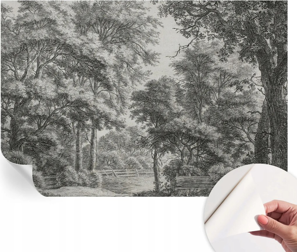 Fotótapéta Fali tapéta Hálószobába és Nappaliba Erdei táj 152x104 cm