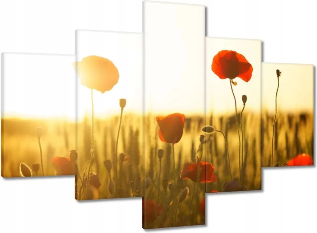 Vászonkép 100x70 Pipacsok napfelkeltekor