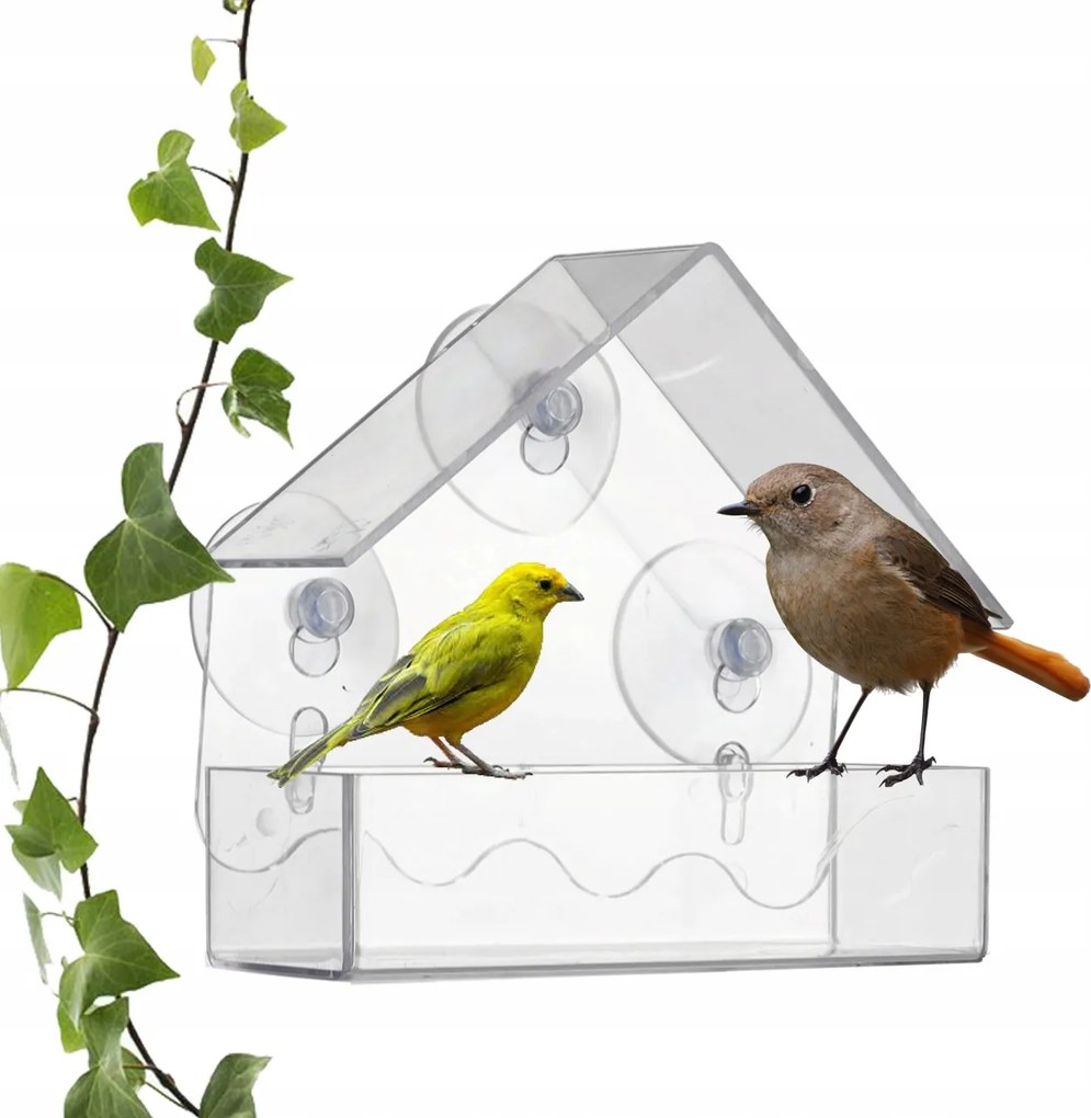 Madáretető Átlátszó Üveg Ablak Napraforgó Mag Eledel