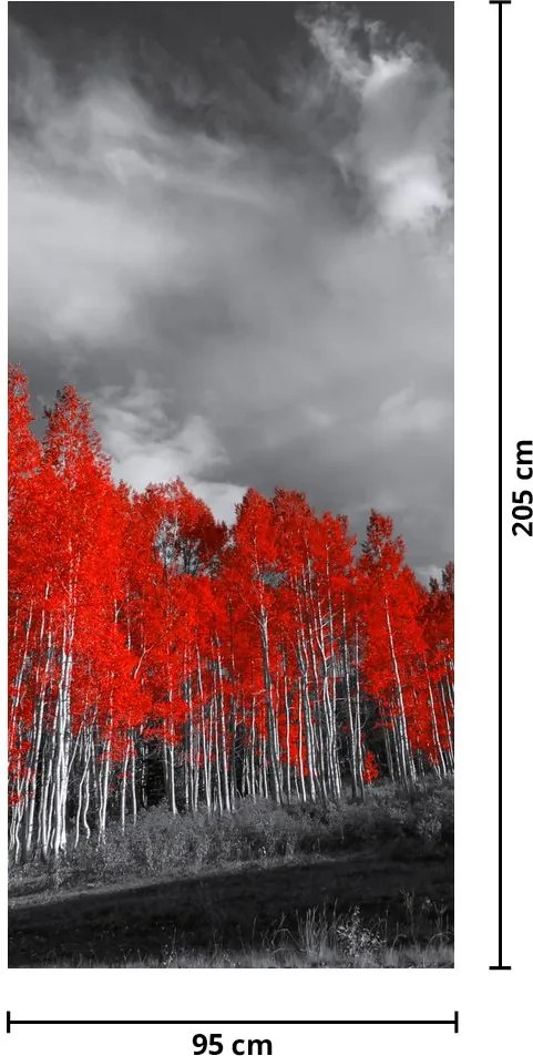 Fotótapéta ajtóra - Vörös fák (95x205cm)