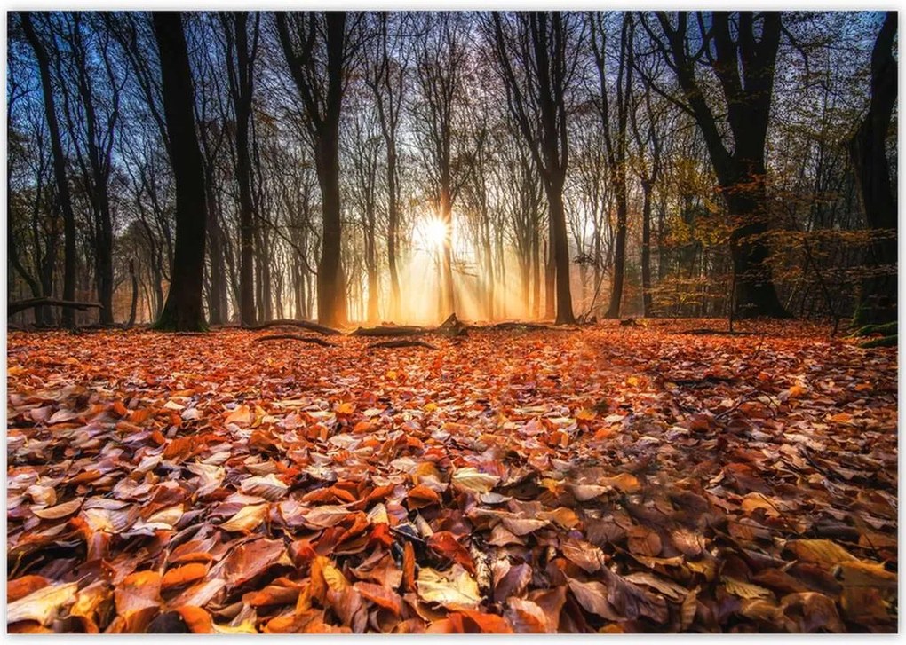 Poszterek 100x70 Őszi kilátás Tájkép