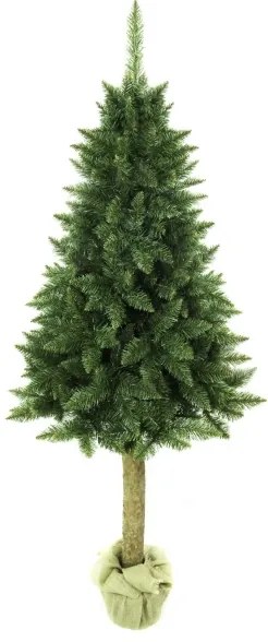 Karácsonyfa tönkön 180 cm fenyőfa