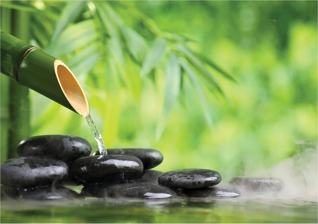 Fotótapéta Bambusz Zen szökőkút relaxáció Víz Kövek Természet 200x140 +ragasztó