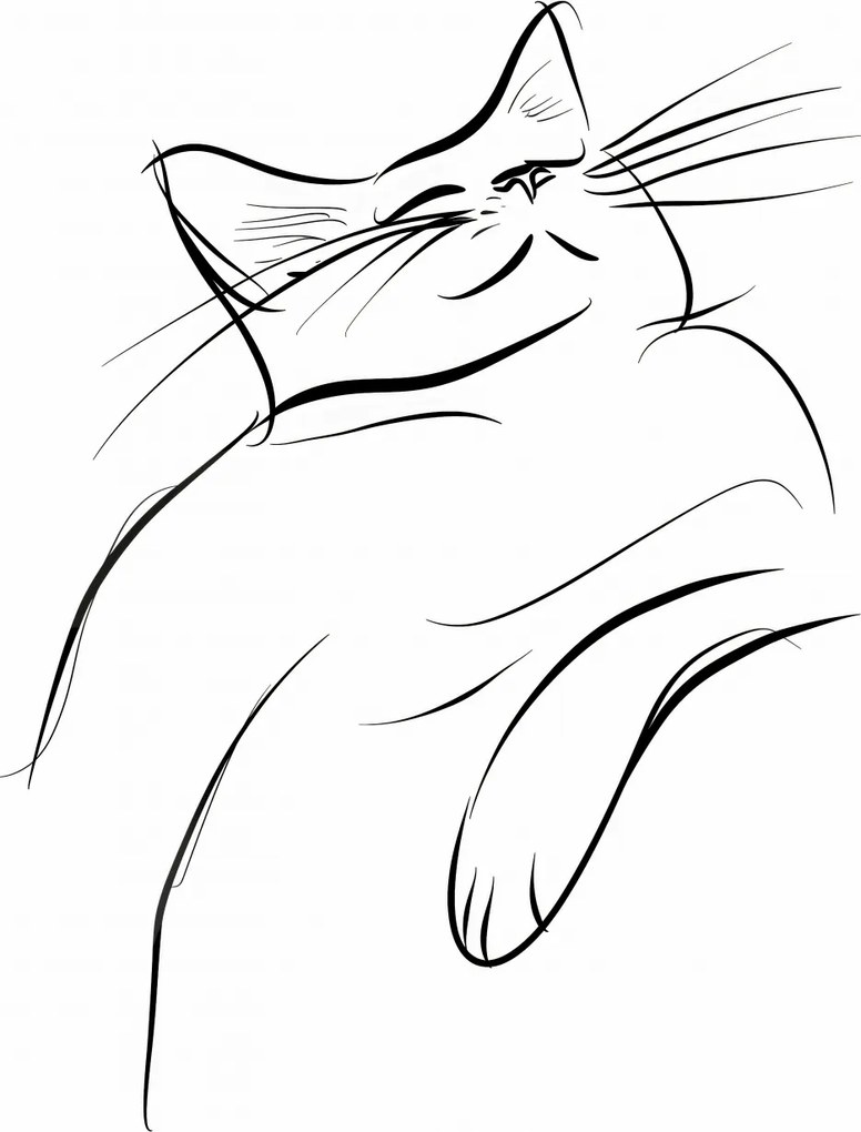 Poszter 67,5x95cm Macskaelégedettség vázlat