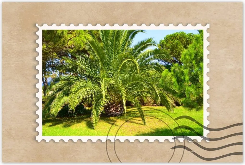 Poszterek 90x60 Trópusok Tájkép Pálmafák