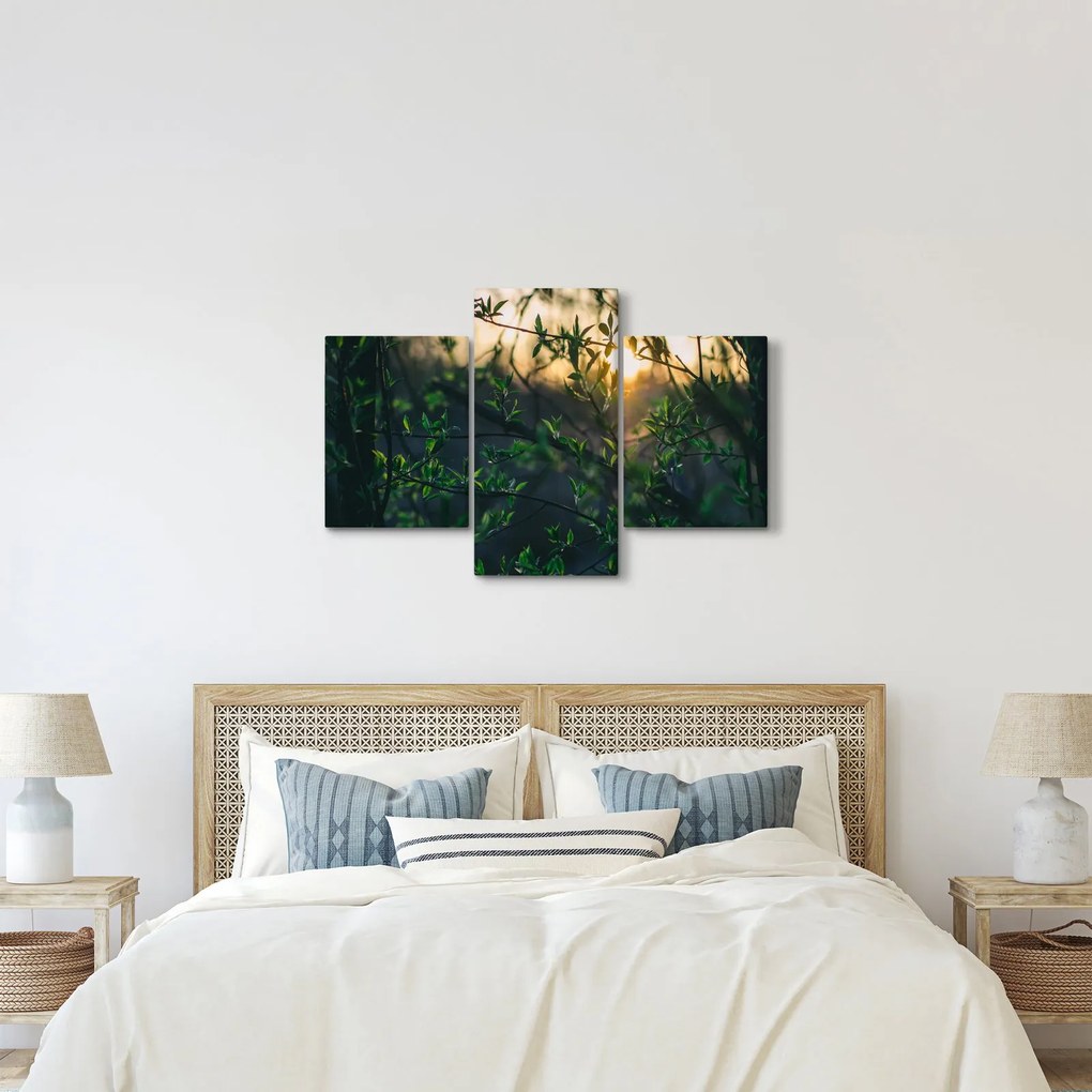 A ragyogó nap képe a fák gallyain keresztül (90x60 cm)