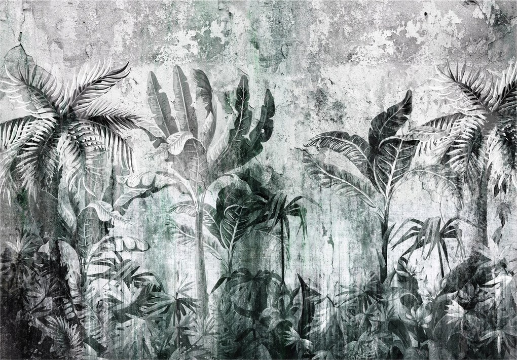 Fotótapéta Trópusi levelek fekete-fehér minimalizmus 200x140 +ragasztó