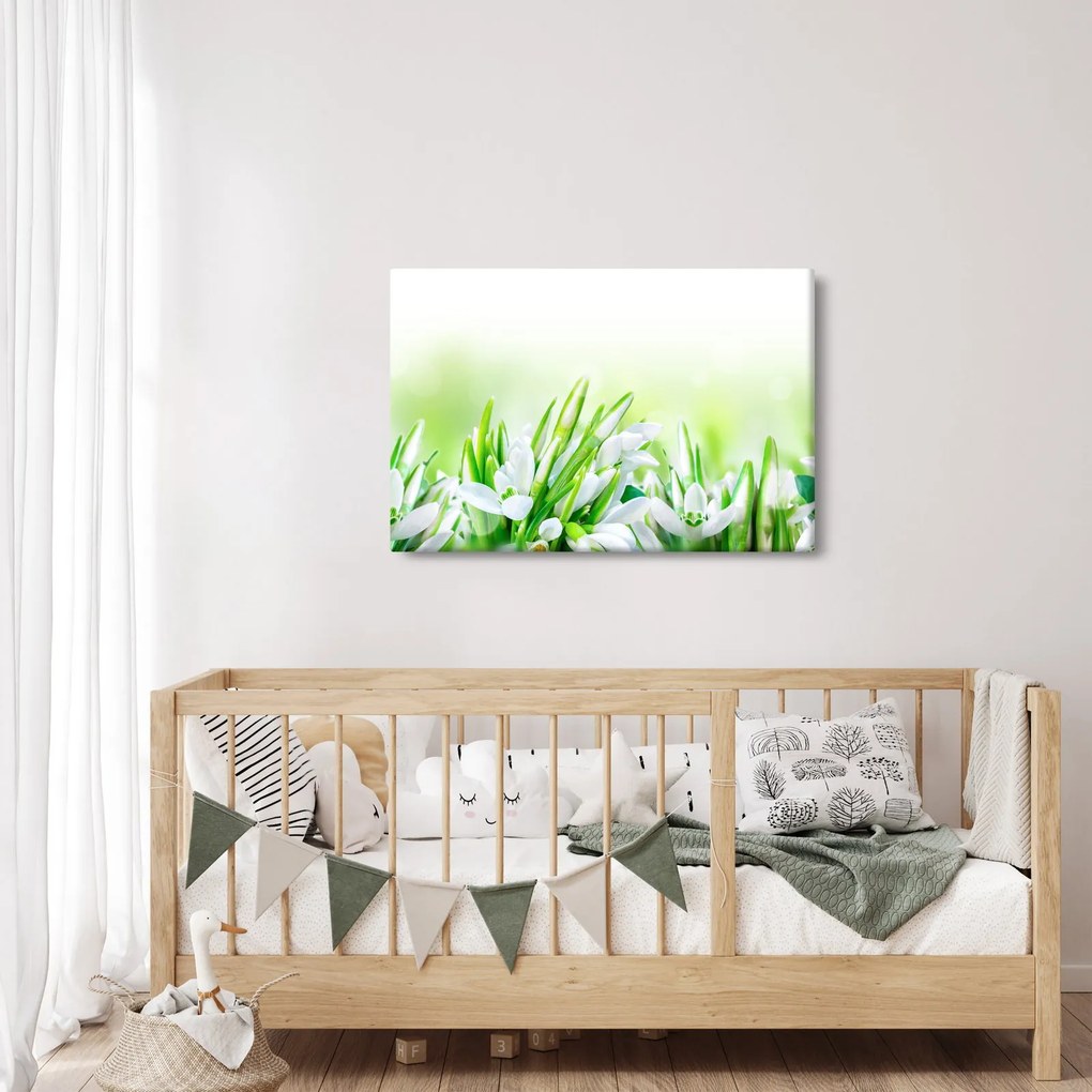 Kép - Hóvirág (90x60 cm)