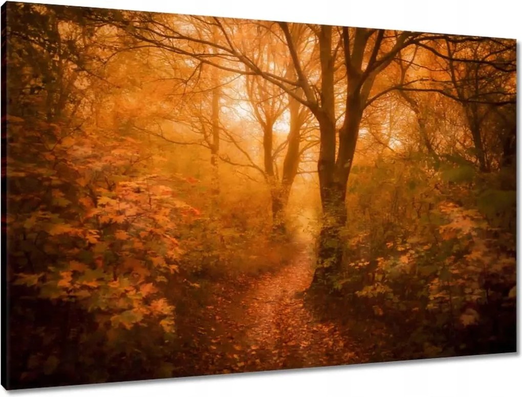 Vászonkép 90x60 Tájkép Látvány