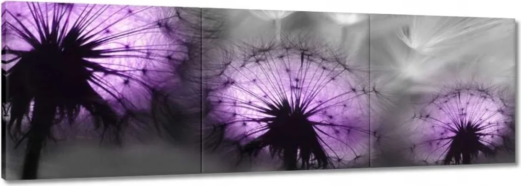 Vászonkép 60x20 Tükröződés a vízben Sárkányok