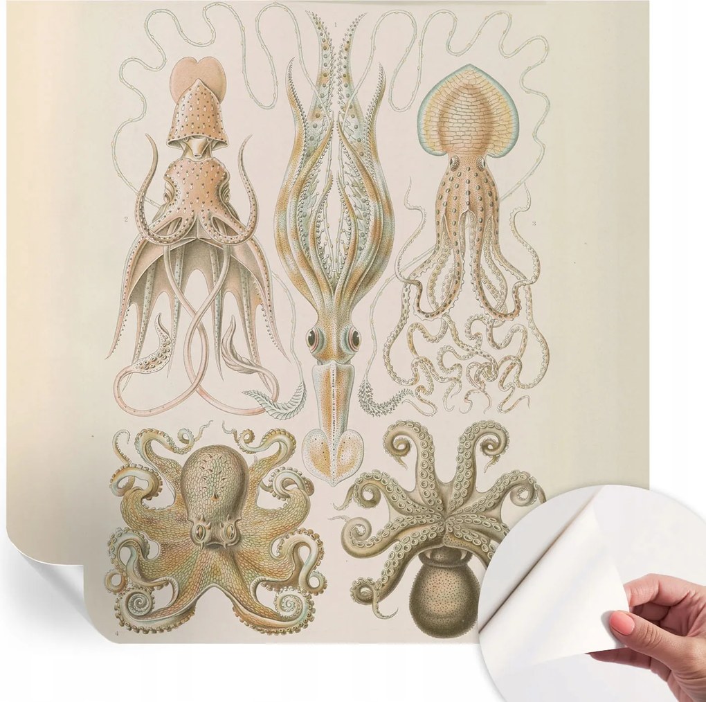 Öntapadós fotótapéta Nappaliba és Hálószobába Tengeri élet 250x250