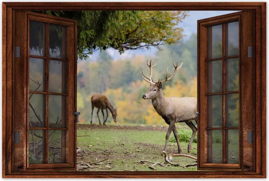 Poszter 60x40 Szarvas a szeretett szarvassal