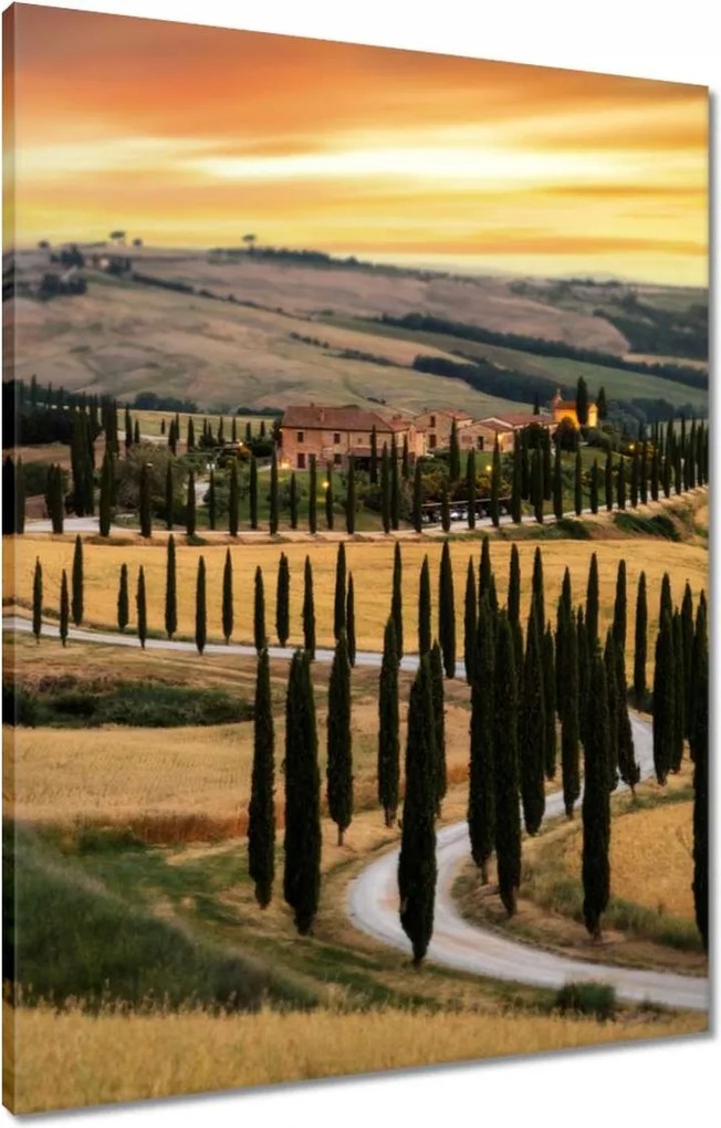 Vászonkép 60x80 Gyönyörű ciprusfák Toszkánában