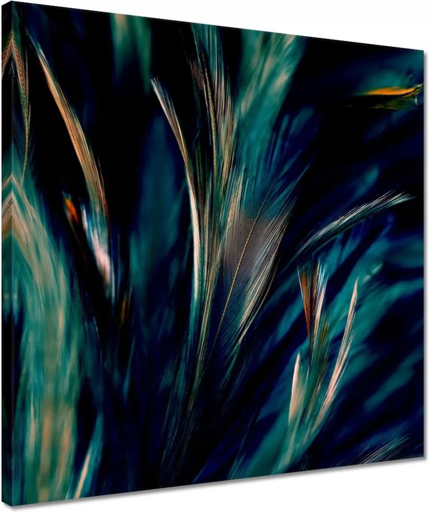 Vászonkép 40x40 Puha pávatollak