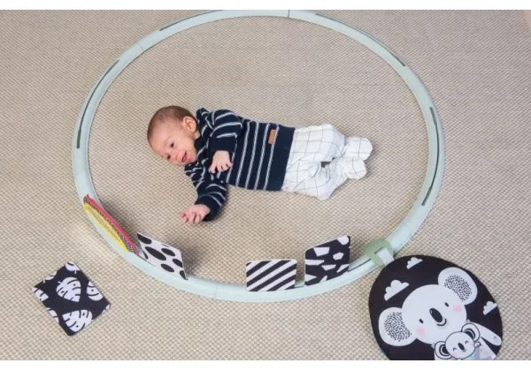 Taf Toys - All Around Me Aktivitás karika á. 90 cm koala