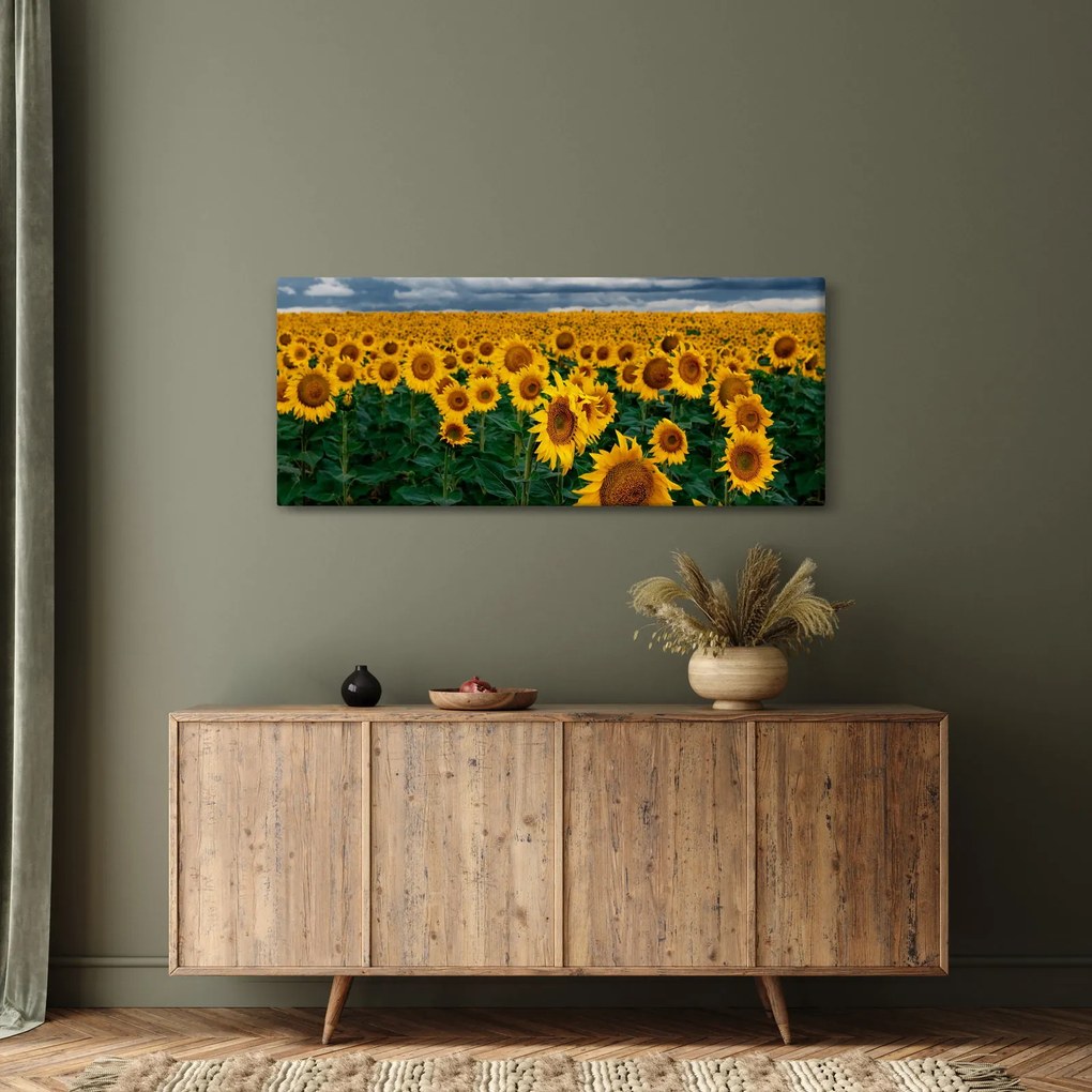 Napraforgó mező képe (120x50 cm)