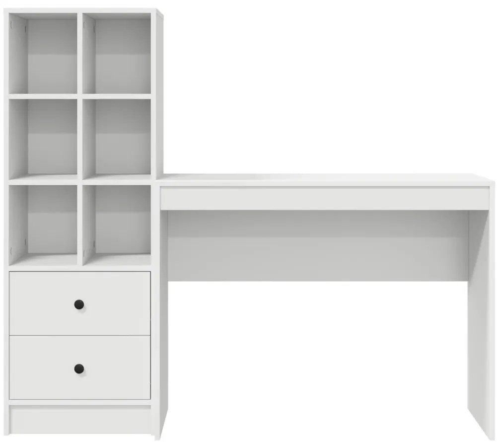 Tárolóval rendelkező íróasztal 2 pcs Fehér 100 x 40 x 76 cm