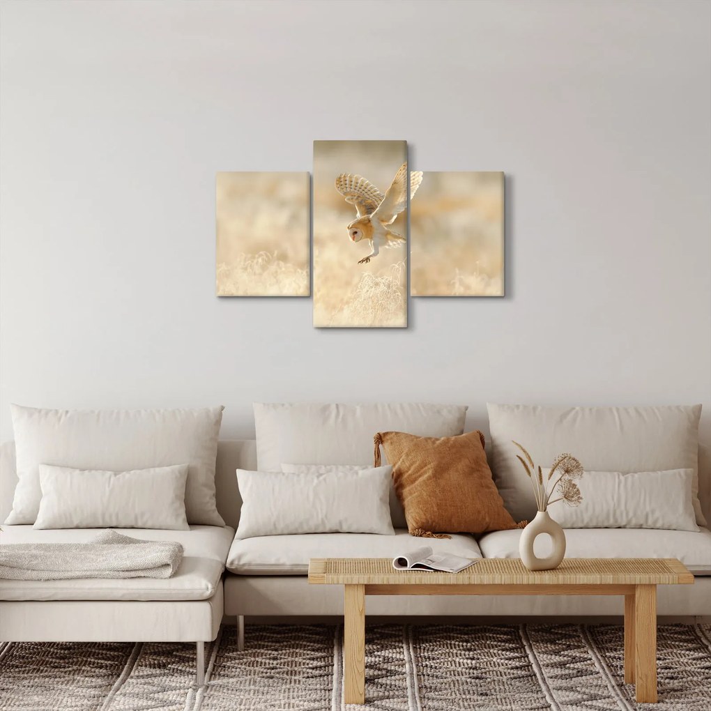 Kép - Bagoly (90x60 cm)