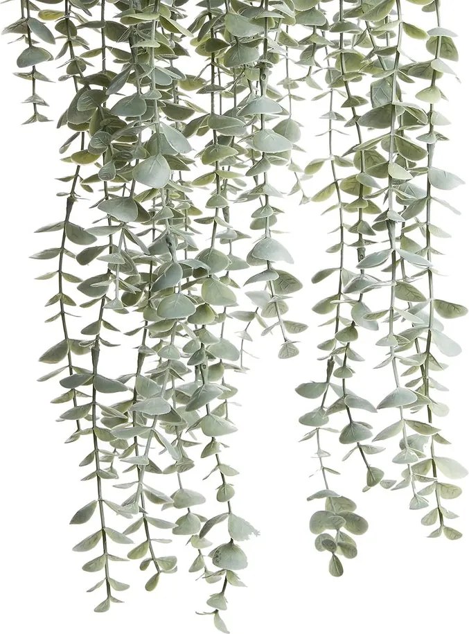 FLORISTA eukaliptusz felakasztható cserépben 65 cm