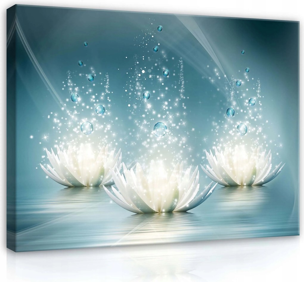 Vászonkép 70x50 Lótusz harmónia Modern művészet minimalista nappali