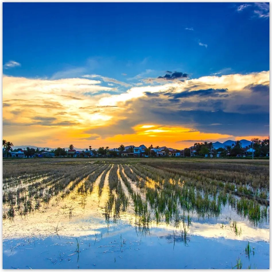 Fotótapéták flizelina 312x312 Kilátás Tájkép