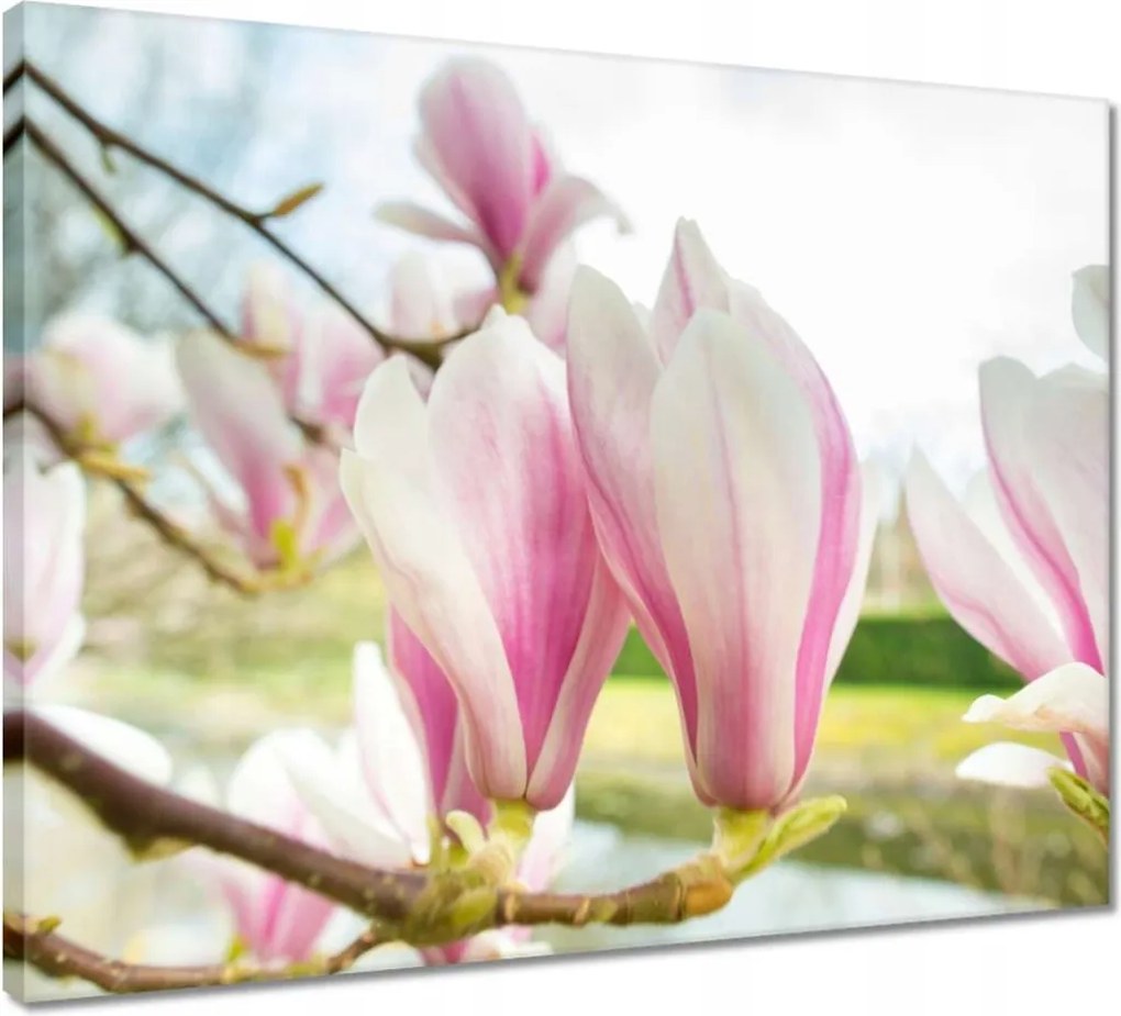 Vászonkép 50x40 Virágok