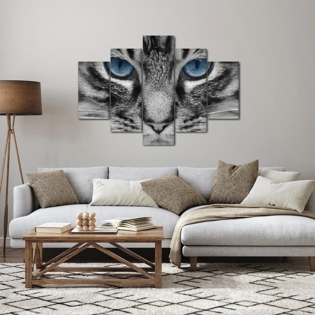 Macska képe (150x105 cm)