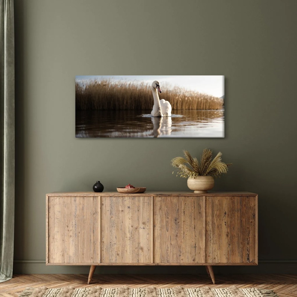 Hattyú képe (120x50 cm)