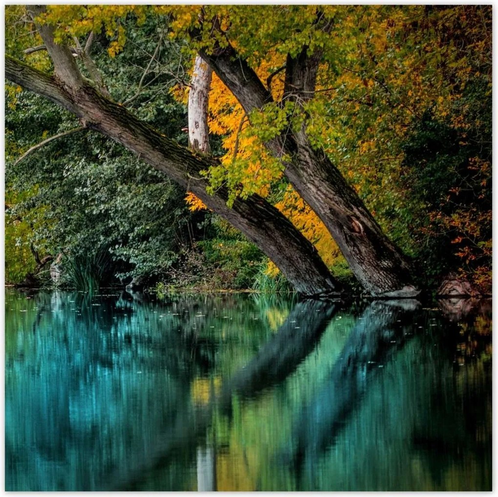 Poszterek 140x140 Őszi táj Folyó