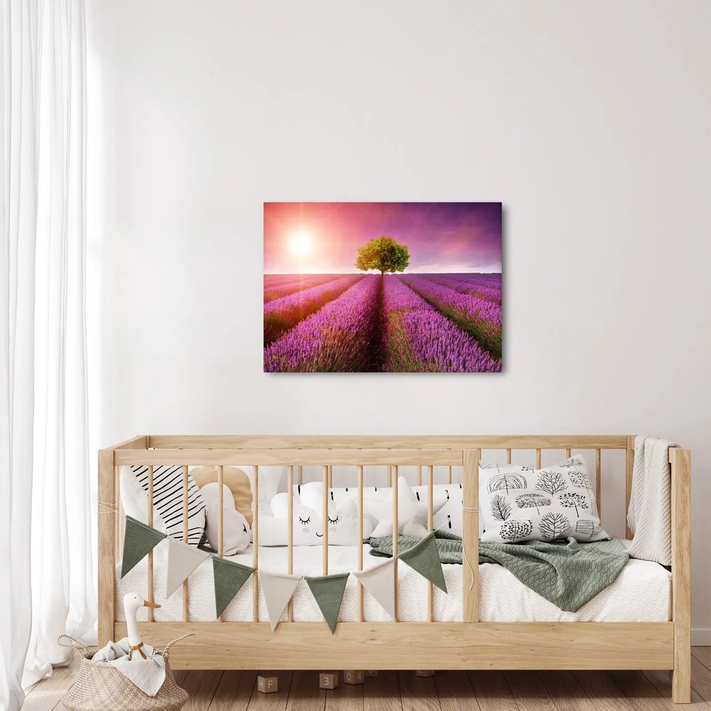 Levendula mező képe (70x50 cm)