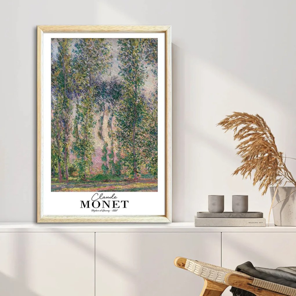 4262AHSMONET-023