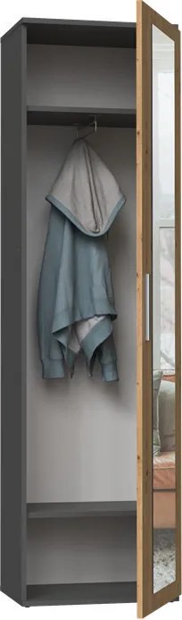 Duo tükrös szekrény, antracit, tölgy