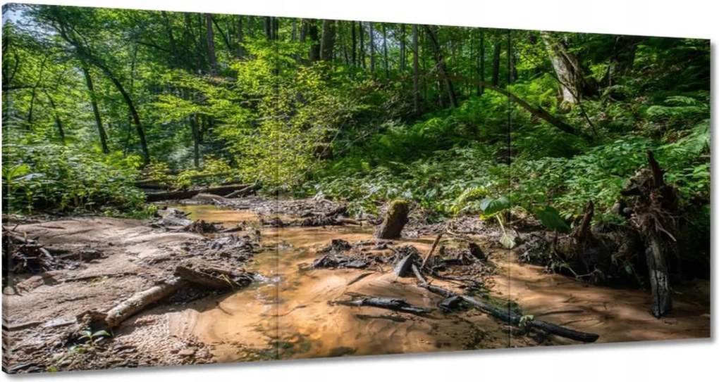 Vászonkép 120x60 Folyó Trópusi erdő