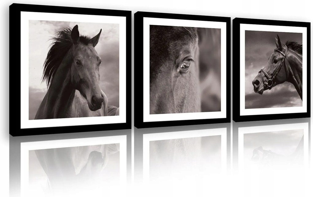 Vászonkép 75x25 Ló lovak állat természet erő kecsesség szabadság hatalom kifejezés