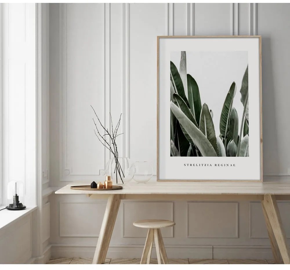 Kép 50x70 cm Strelitzia – Styler