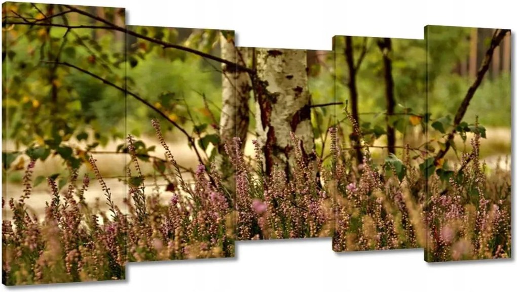 Vászonkép 150x80 Nyírfa a hangák között Erdő