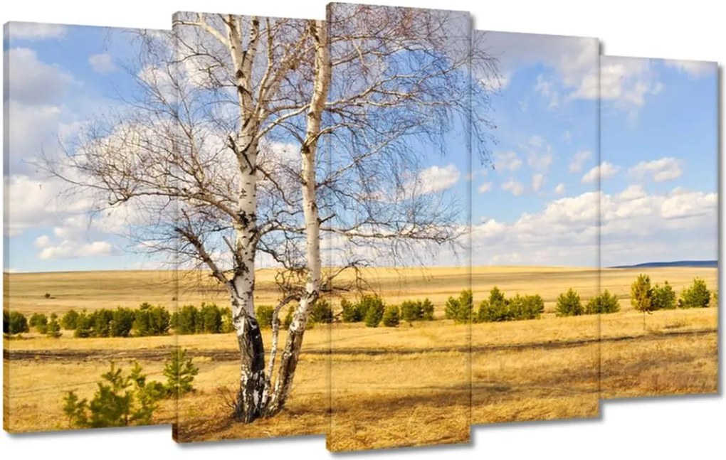 Festmények 100x60 Nyírfa a mezőn Tájkép