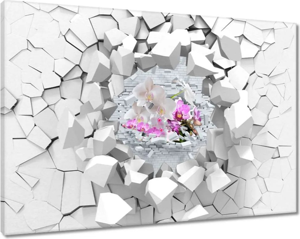 Festmények 120x80 Orchidea a falban